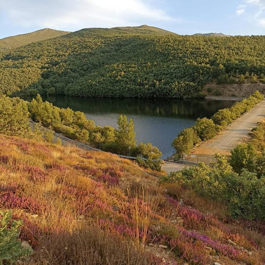 El Mirador Del Hayedo Villa Riofrio de Riaza Eksteriør bilde